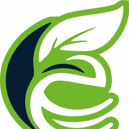 EV