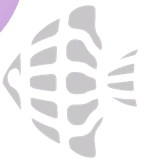 Wild color daily necessities