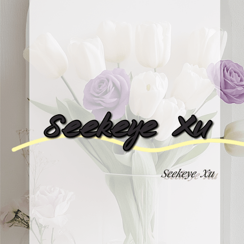 Seekeye xu