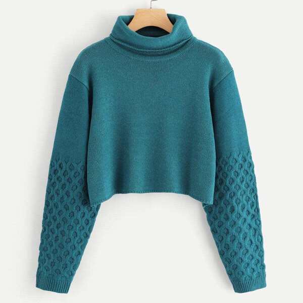 

Rolled Up Neck Solid Crop Jumper