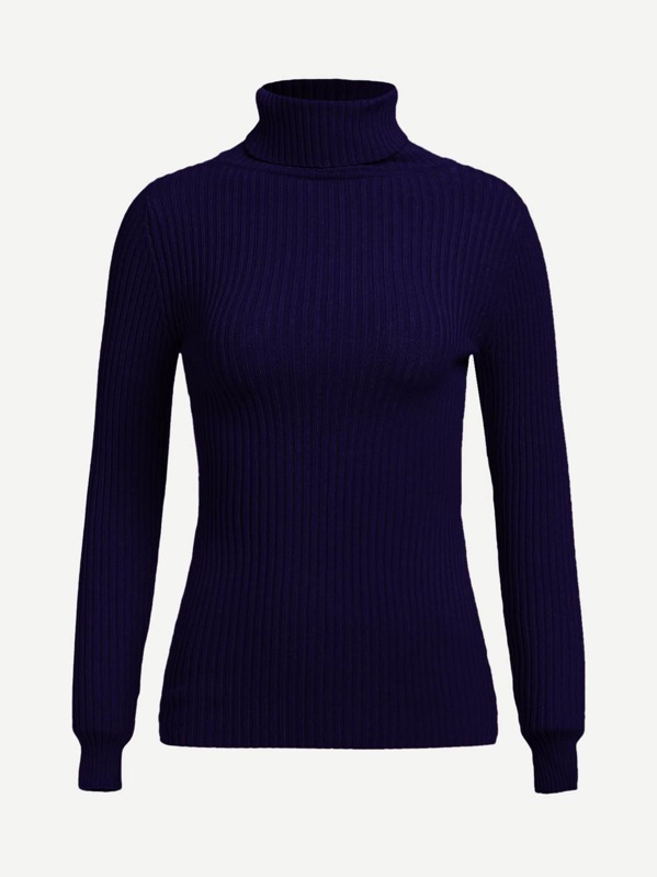 

Высокий шея Rib Knit Slim Fitted Sweater, null
