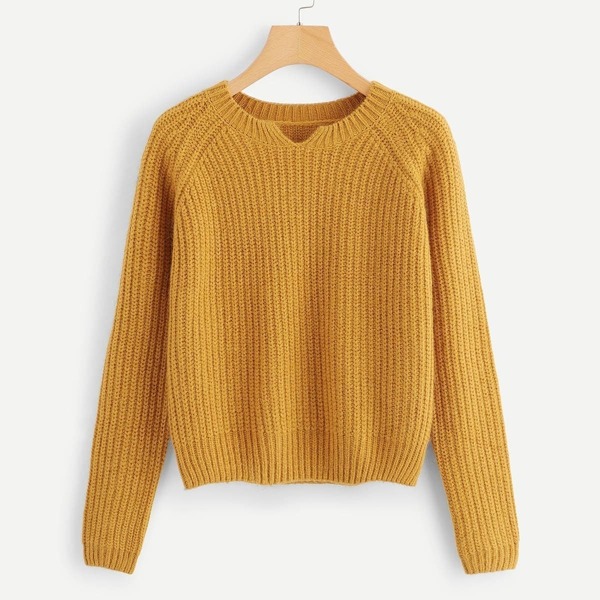 

Raglan Sleeve Solid Sweater