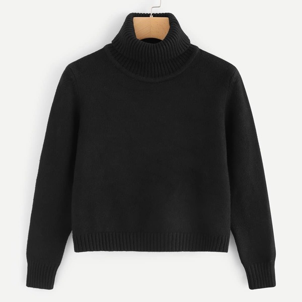 

High Neck Solid Sweater