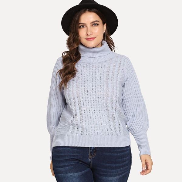 

Plus Turtleneck Solid Jumper