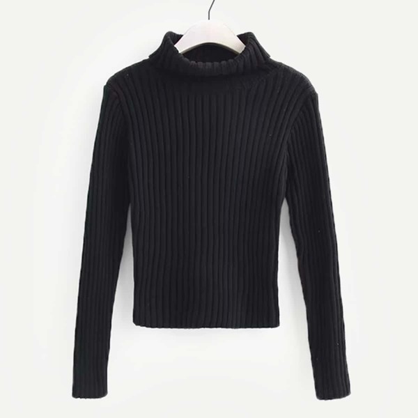

Plain Rib Knit High Neck Sweater