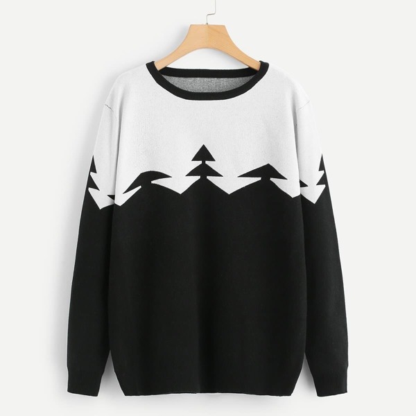 

Two Tone Graphic Print Jumper