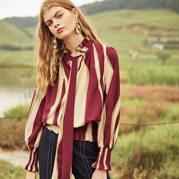 

Tie Neck Shirred Panel Semi Sheer Blouse