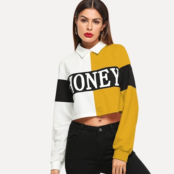 

Cut-and-Sew Letter Crop Sweatshirt, Multicolor