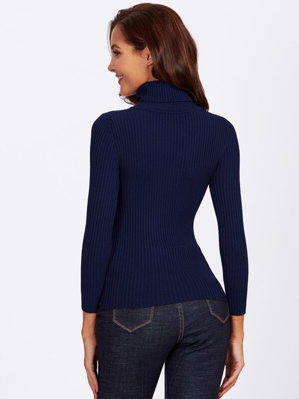 

Turtleneck Rib Knit Fitted Sweater