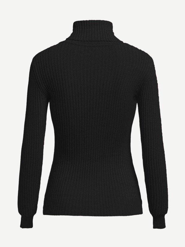 

Plus Turtleneck Rib Knit Sweater