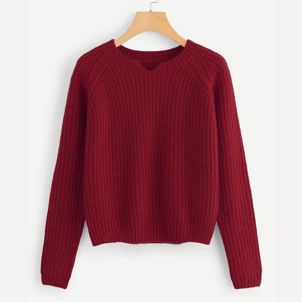 

Raglan Sleeve Solid Jumper