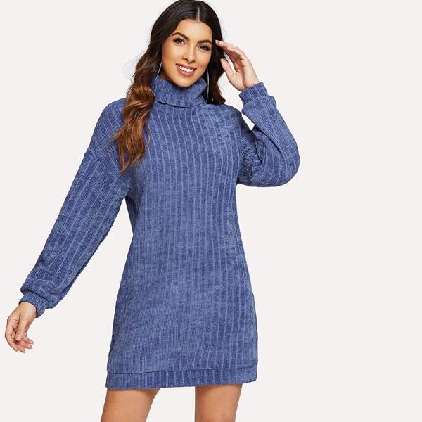 

Roll Neck Solid Knit Dress