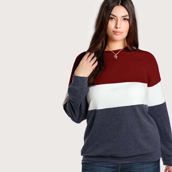 

Plus Raglan Sleeve Cut-and-sew Sweatshirt