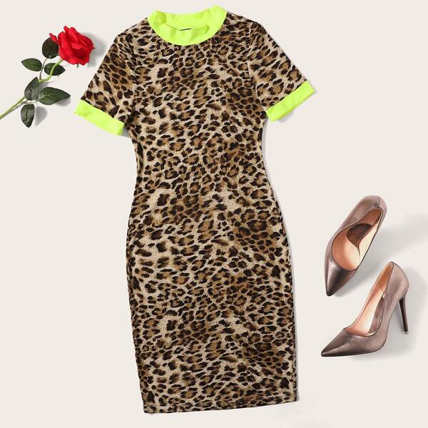 

Plus Leopard & Neon Ringer Pencil Dress, Multicolor