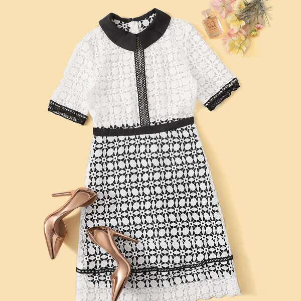 

Contrast Collar Guipure Lace Dress, Black and white