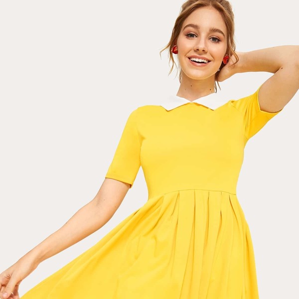 

Contrast Collar Skater Dress