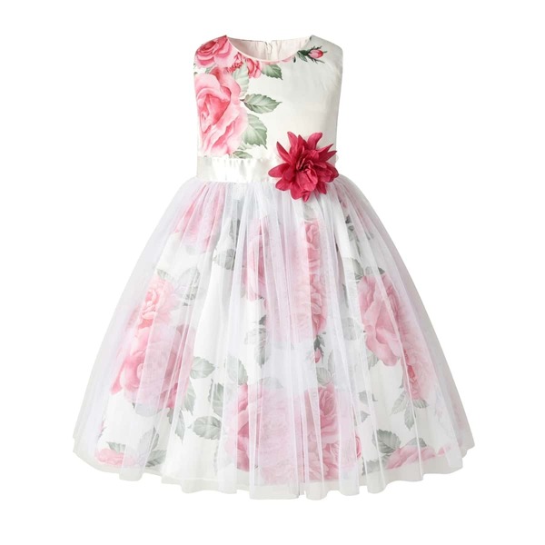 

Toddler Girls Large Floral Mesh Overlay Dress, Multicolor