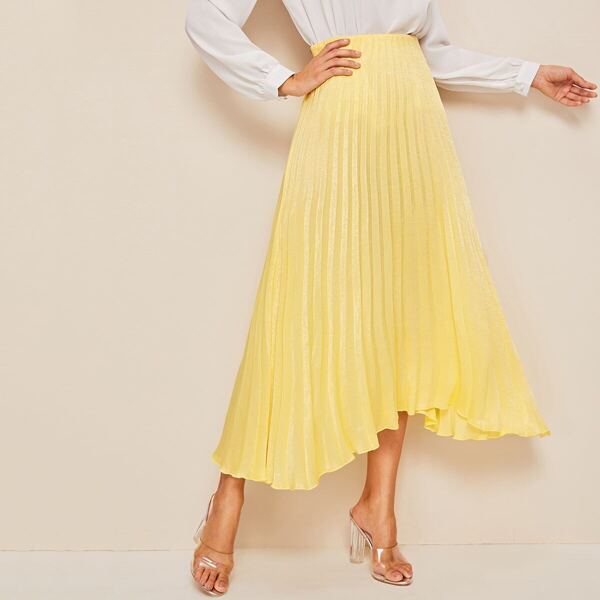 

Pleated Asymmetrical Hem Skirt