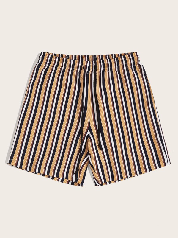 

Men Drawstring Waist Striped Shorts, Multicolor