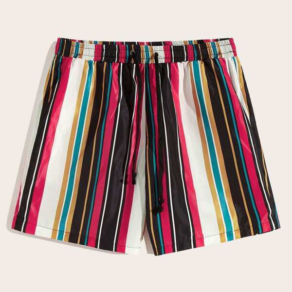 

Men Drawstring Waist Colorful Striped Shorts