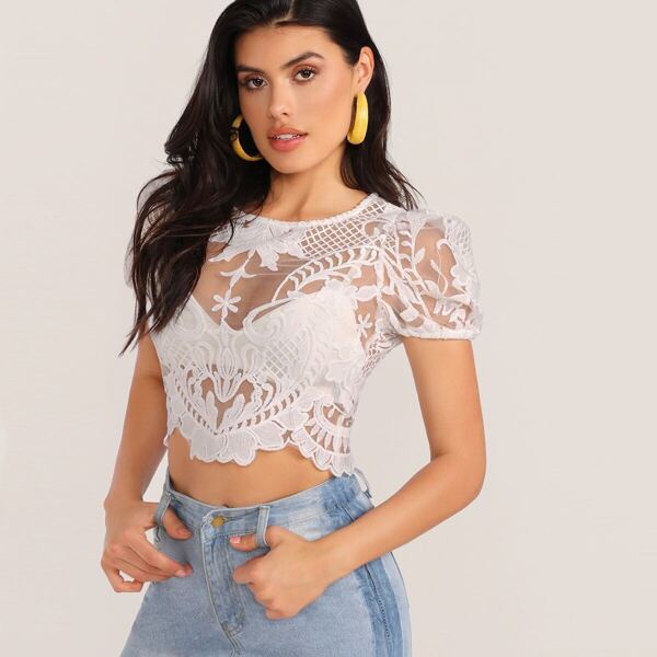 

Crew Neck Sheer Lace Zip Back Short Sleeve Top