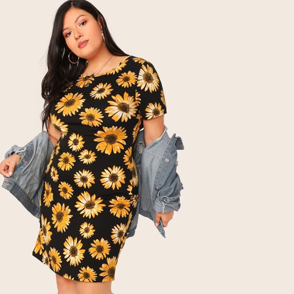 

Plus Floral Print Dress, Multicolor