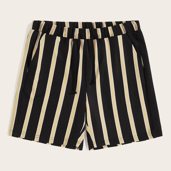 

Men Drawstring Waist Striped Shorts