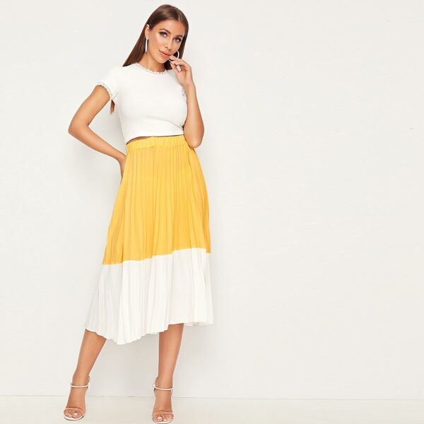 

Elastic Waist Colorblock Pleated Skirt