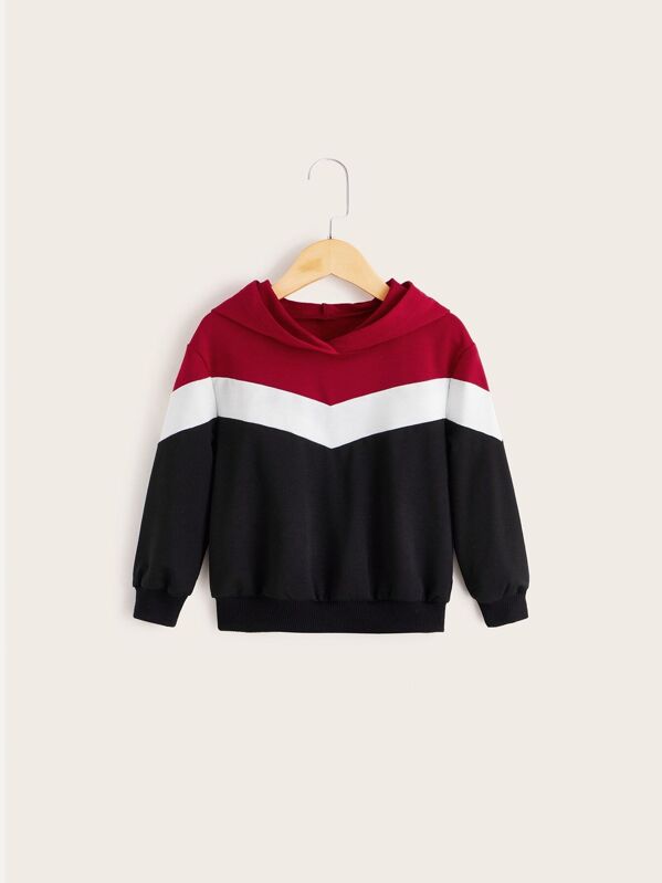 

Toddler Boys Color Block Hoodie, Multicolor