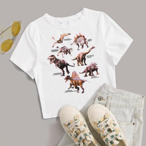 

Dinosaur Print Crop Top