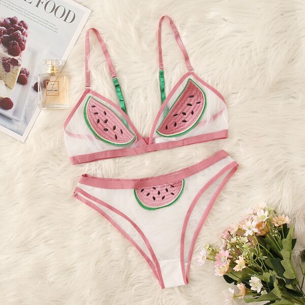 

Watermelon Embroidered Sheer Lingerie Set