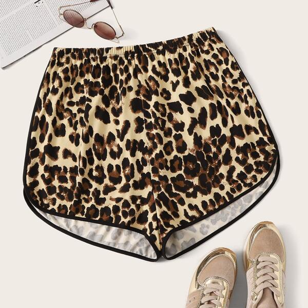 

Plus Drawstring Waist Leopard Print Dolphin Shorts, Multicolor
