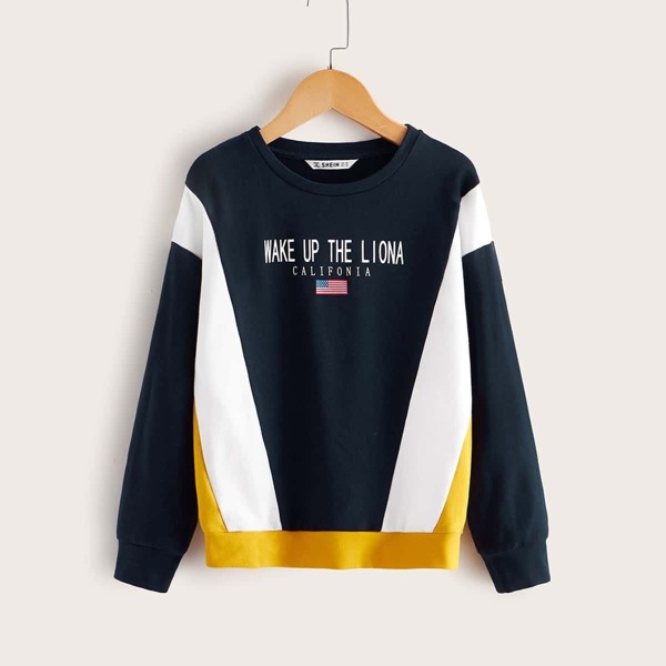 

Boys Colorblock Slogan and American Flag Print Pullover, Multicolor