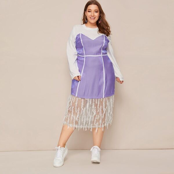 

Plus Colorblock Contrast Tape Lace Trim Dress, Multicolor