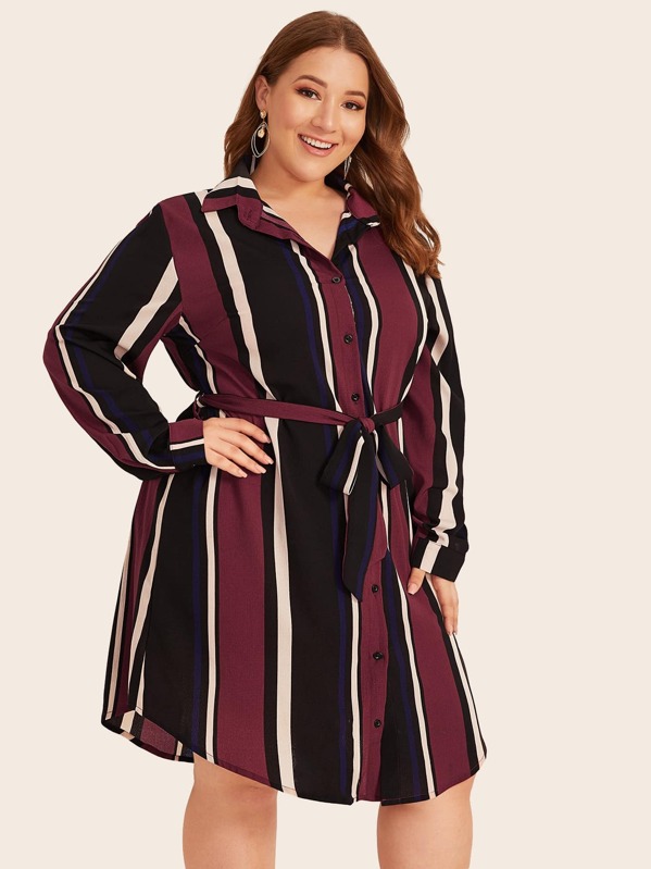 

Plus Striped Curved Hem Belted Shirt Dress, Multicolor, Ray