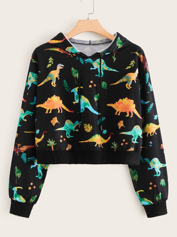 

Plus Dinosaur Print Drawstring Hoodie, Multicolor