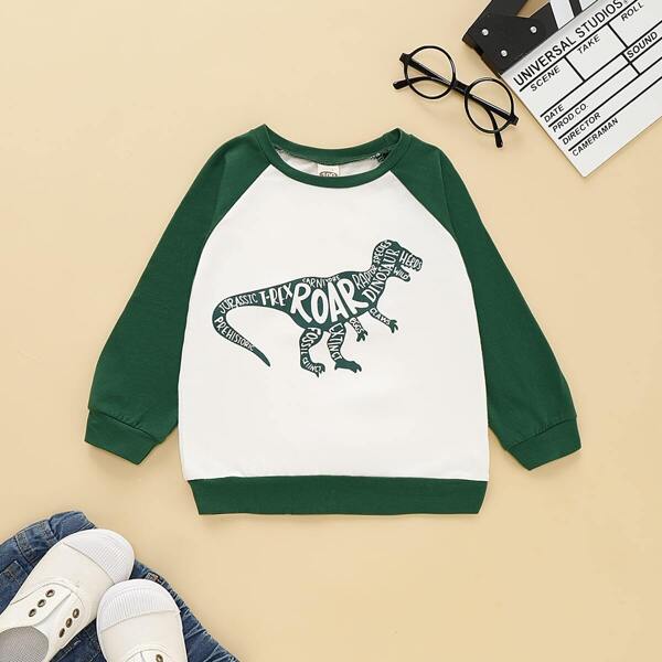 

Toddler Boys Contrast Panel Letter And Dinosaur Print Sweatshirt, Multicolor