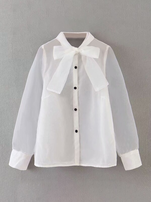 

Tie Neck Sheer Mesh Blouse, White
