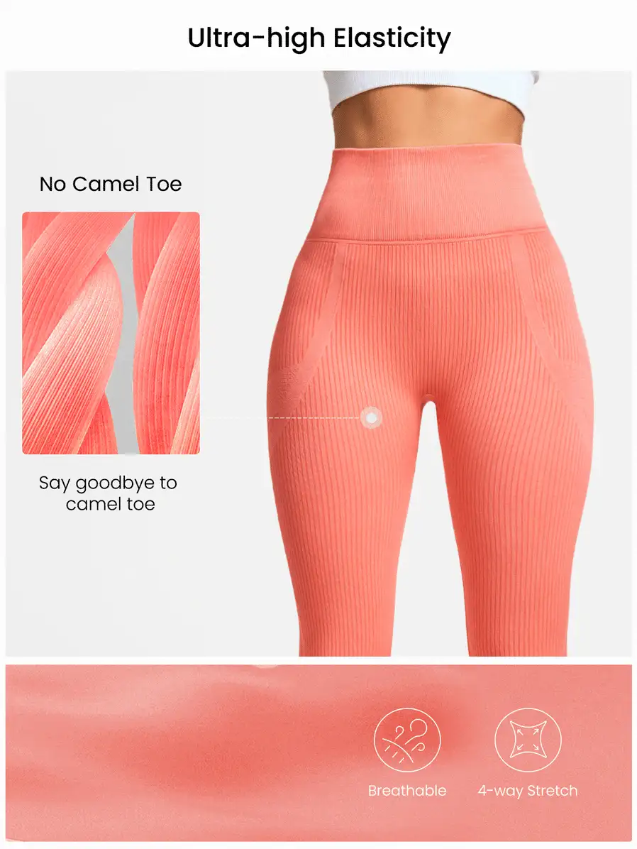 Activina 無縫寬腰帶運動打底褲