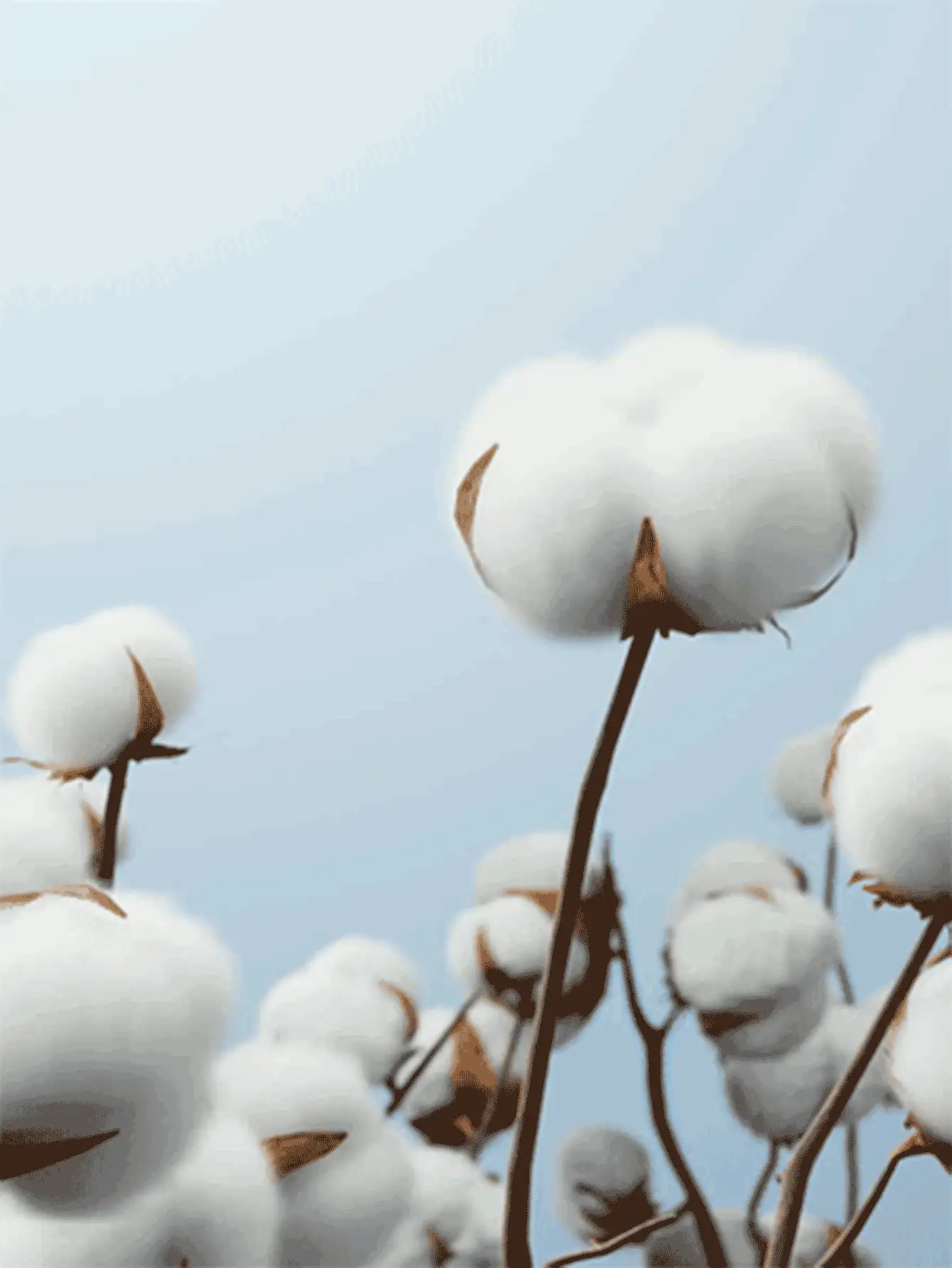 SHEIN 女嬰3入組條紋針織前蝴蝶結連身背心 - 彩色 - 查看 8