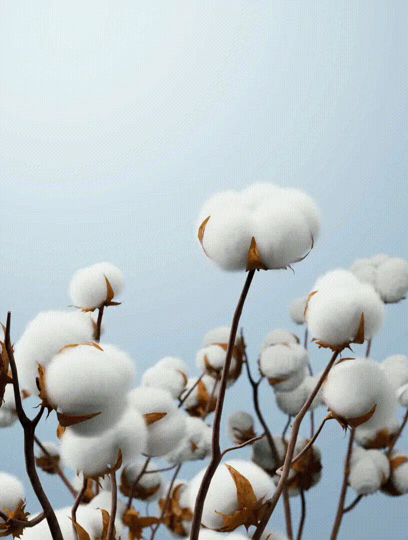 SHEIN Essnce Đầm hè dáng rộng, cổ tròn, tay ngắn, xẻ tà, kiểu dáng thường ngày. - Màu Hồng Tươi - Xem 8