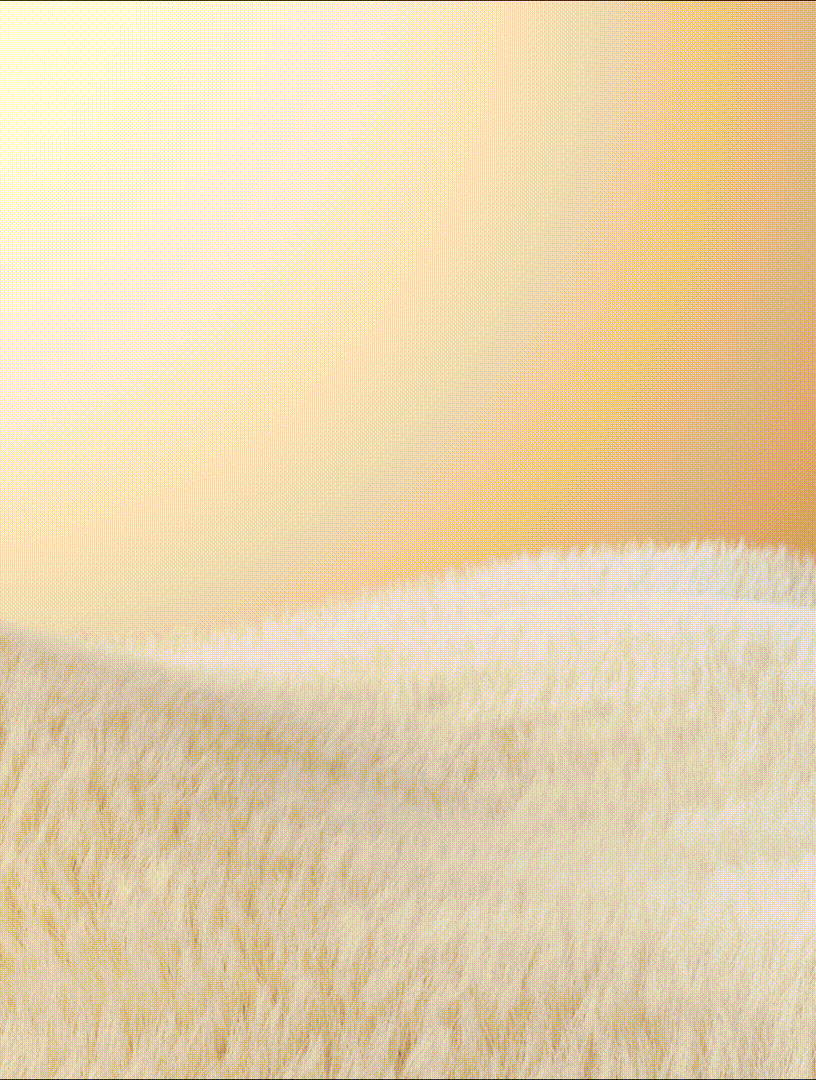 SHEIN LUNE Women's Thermal Lined Sweatpants, Thick & Warm, Grey, Autumn/Winter Red Pants For Women Warm Sweatpants Thermal Lined Pants Red Joggers Burgundy Pants - Burgundy - View 9