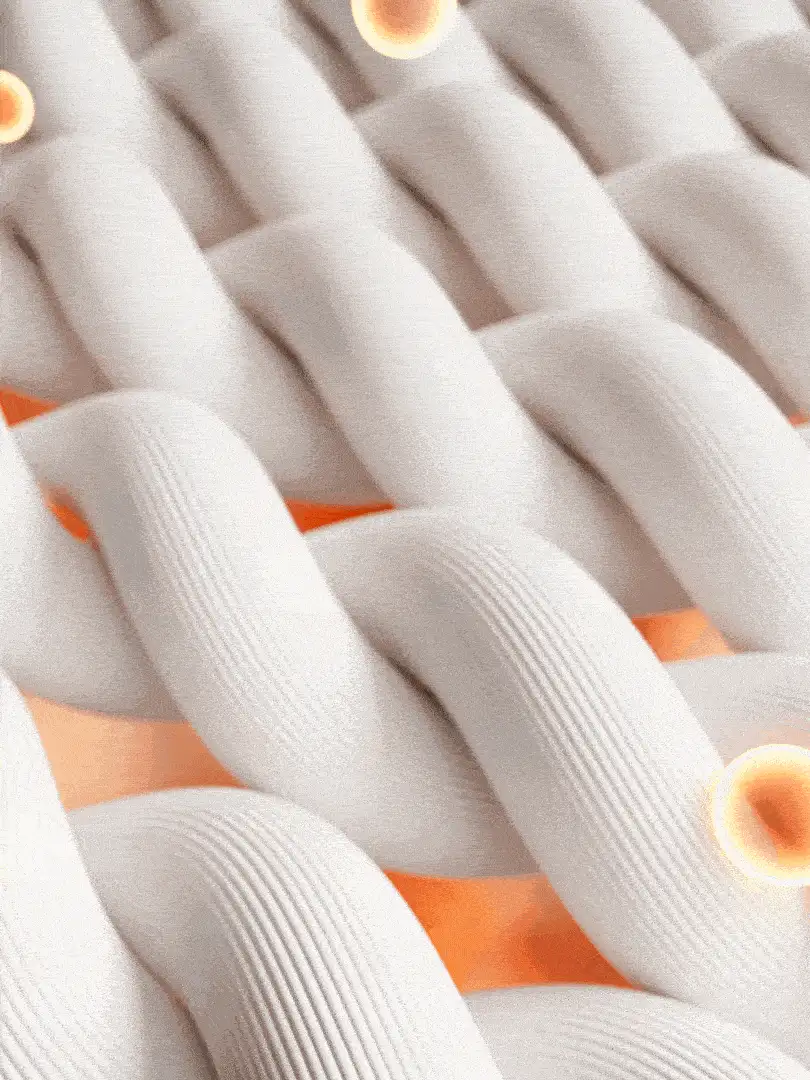 SHEIN CURVE+ Bộ 2 món/Bộ đồ thể thao thường ngày in khẩu hiệu màu tương phản cỡ lớn, áo khoác nỉ + quần dài, bộ đồ thể thao, mùa thu/đông - Nhiều màu - Xem 2