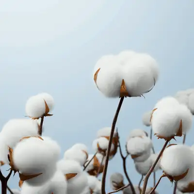 Solflare 大码女式纯色不对称腰身时尚百搭打底裤，适合秋季、冬季和春季穿着。 - 黑色 - 查看 2