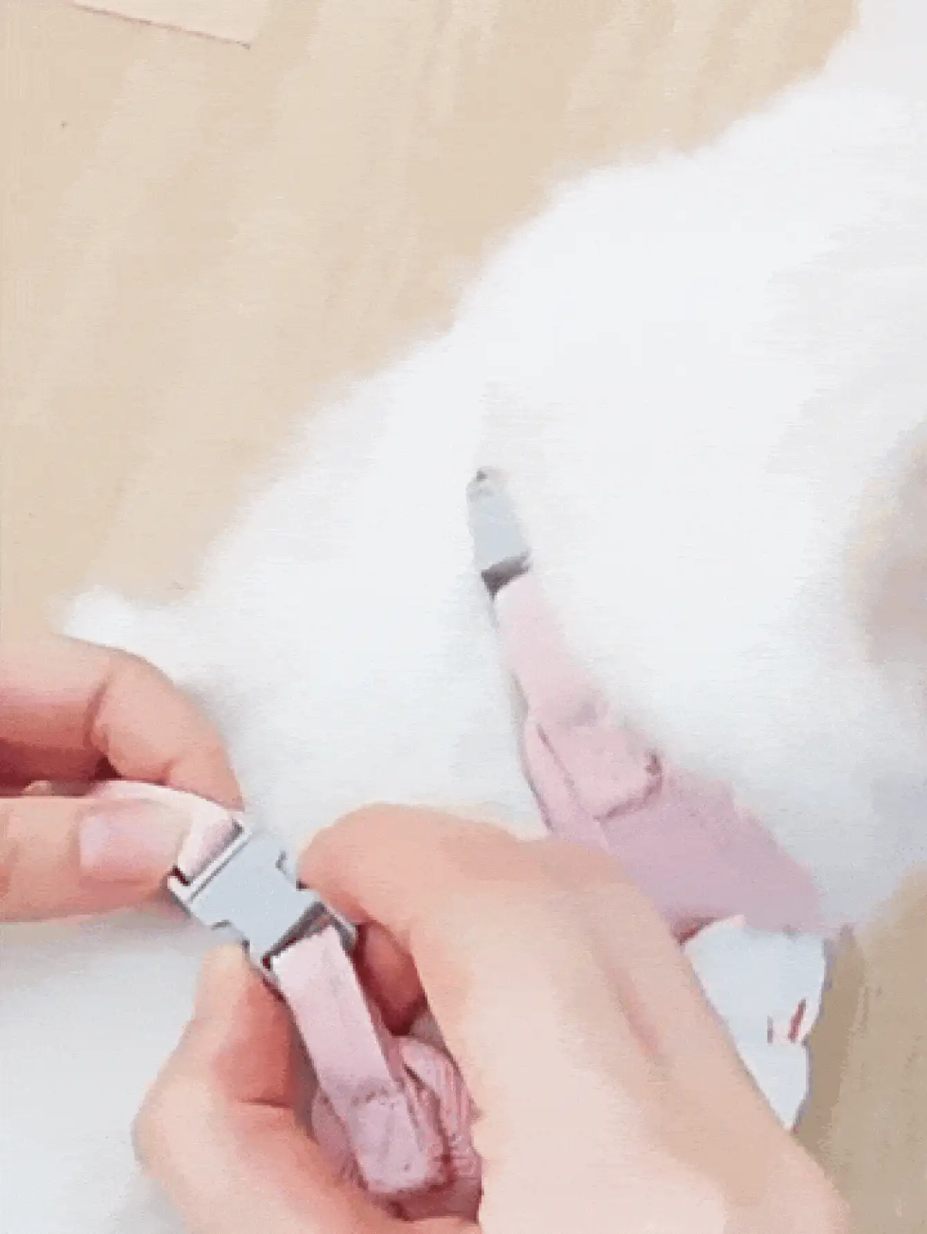 可爱卡通猫狗胸背带牵引套装，透气可调节宠物胸带，适用于训练和遛小型犬，小型/中型犬猫必备宠物用品 - 彩色 - 查看 3