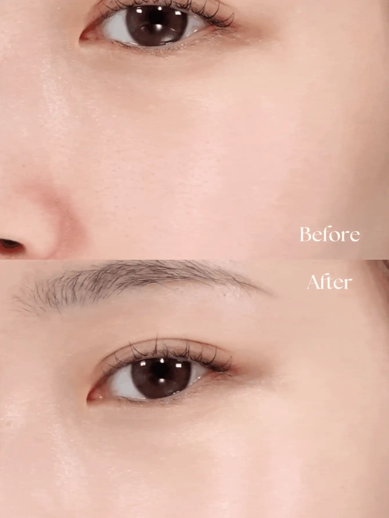 Dasique Water Veil Primer Hidratante Primer Maquiagem Hidratante/Primer Facial Marca de Maquiagem Beleza Maquiagem Cosméticos para Mulheres Meninas Perfeito para Outono Inverno Ideal para Y2K Moda Chique Adequado para Presente de Aniversário Festa de Halloween Pronto Melhor Cor (40ml)