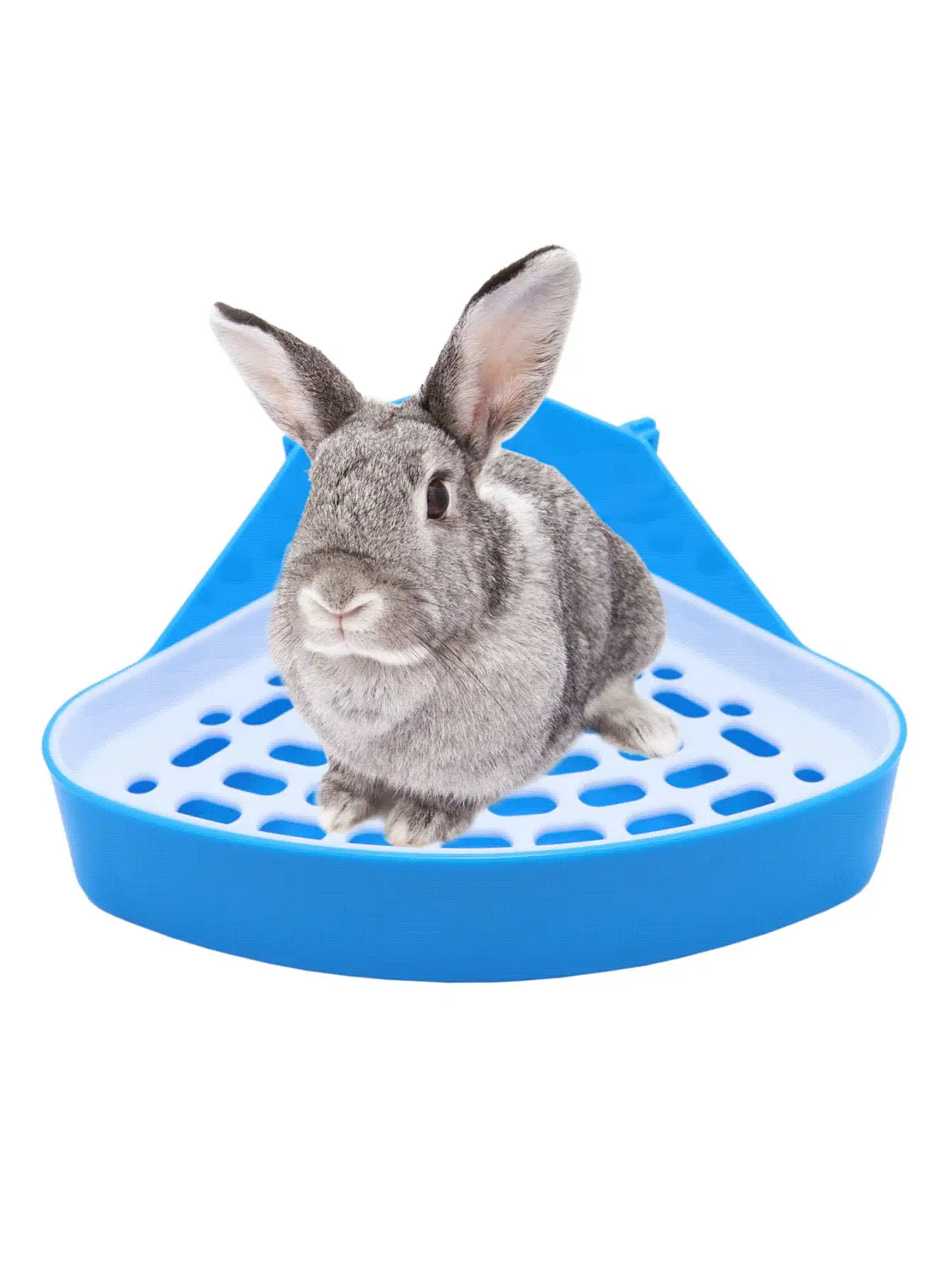 兔子宠物厕所，兔子角落猫砂盆，适用于豚鼠、仓鼠、雪貂、兔子和其他小型动物的宠物厕所