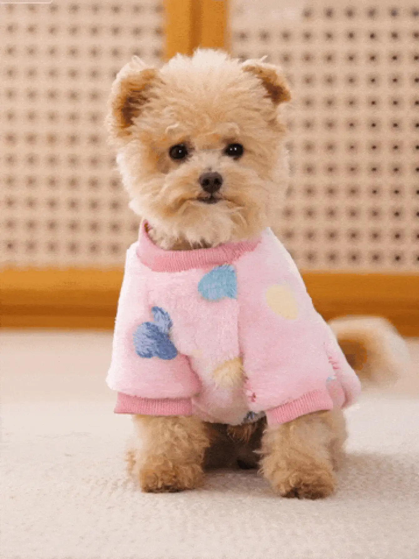 Quần áo vải nhung mềm mại cho chó có dây xích tiện lợi và an toàn khi đi chơi Quần áo màu hồng dễ thương cho chó sử dụng ngoài trời và trong nhà Chống lạnh và gió Bộ đồ ngủ nhẹ và thoải mái cho chó nhỏ đến trung bình có viền cổ tay tròn để di chuyển không bị hạn chế Quần áo ấm áp cho thú cưng làm quà tặng cho người yêu chó và mèo - Hồng - Xem 3