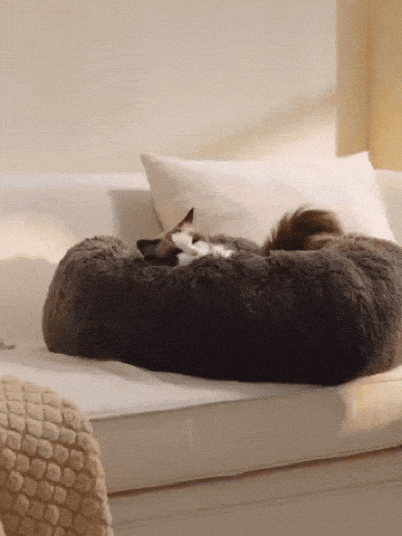 甜甜圈造型狗床，底部防滑，柔软蓬松的人造毛皮，亲肤低敏，舒适保暖，可机洗，缝线结实，适合小型和中型犬、幼犬和幼猫，是客厅或卧室小憩和睡眠的理想之选。 - 咖啡棕 - 查看 2