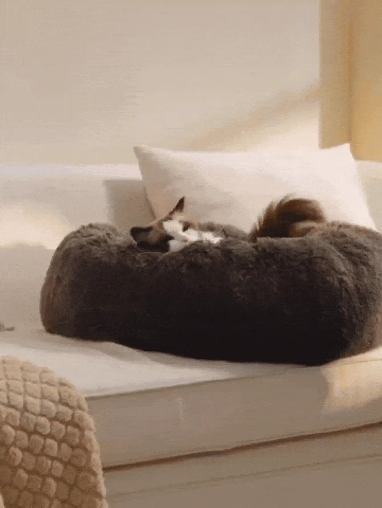 Giường ngủ hình bánh donut cho chó, đáy chống trượt, lông giả mềm mại và bông xốp, thân thiện với da và không gây dị ứng, ấm cúng và thoải mái, ấm áp và dễ chịu, có thể giặt máy, đường may chắc chắn, phù hợp cho chó nhỏ và vừa, chó con và mèo con, lý tưởng để ngủ trưa và ngủ đêm trong phòng khách hoặc phòng ngủ. - Cà phê nâu - Xem 3